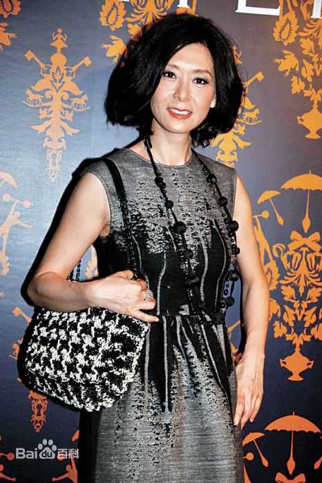 夏文汐(Patricia Ha、Pat Ha、Ha Man Chik)前后照片