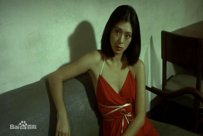 夏文汐(Patricia Ha、Pat Ha、Ha Man Chik)前后照片