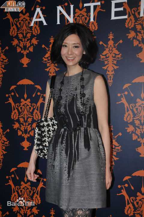 精选夏文汐(Patricia Ha、Pat Ha、Ha Man Chik)