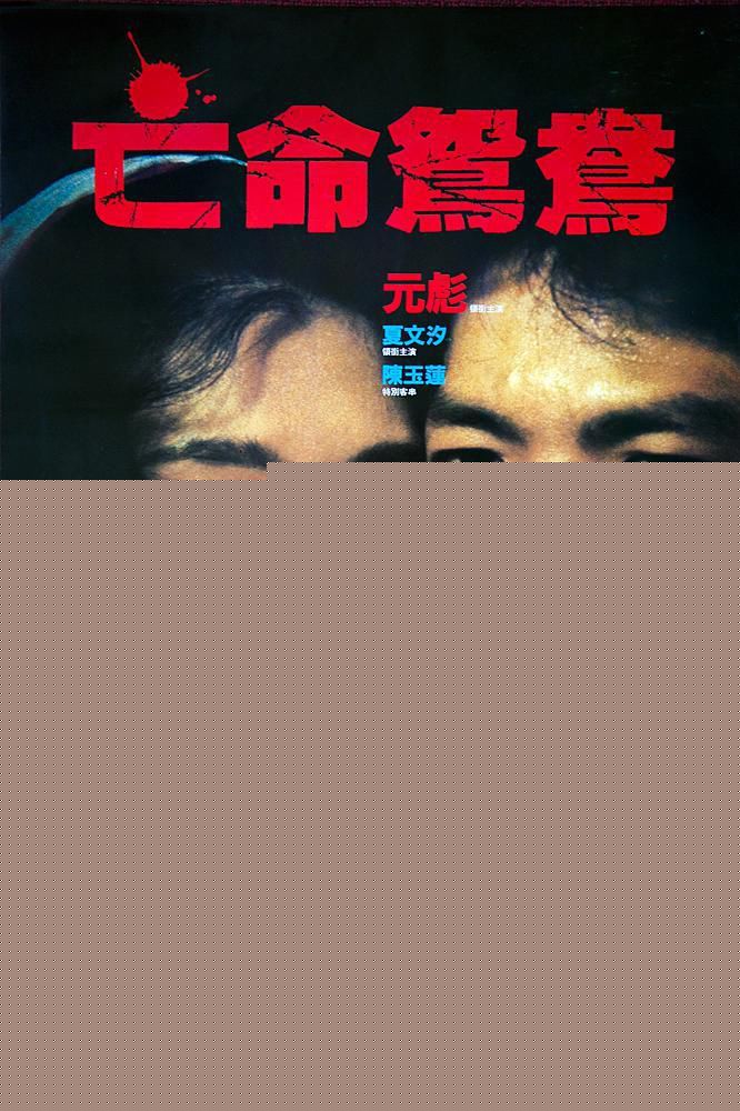 精选夏文汐(Patricia Ha、Pat Ha、Ha Man Chik)