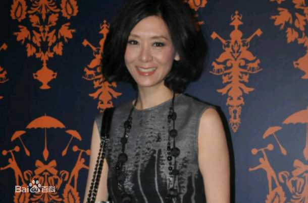 精选夏文汐(Patricia Ha、Pat Ha、Ha Man Chik)