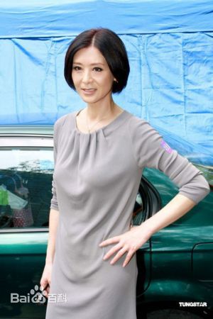 精选夏文汐(Patricia Ha、Pat Ha、Ha Man Chik)