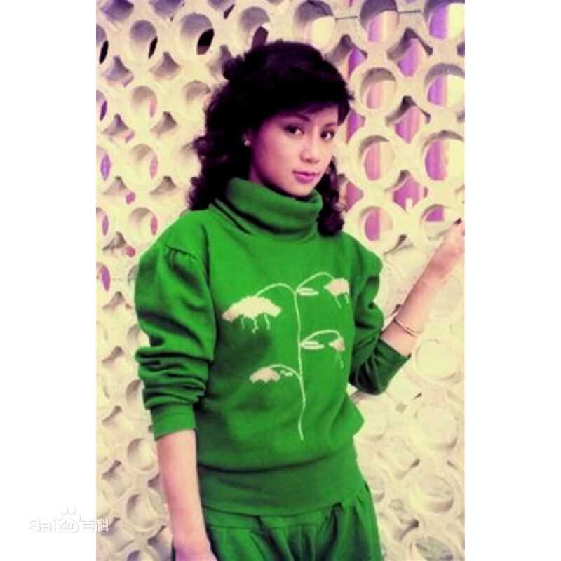 翁美玲(Barbara Yung)前后照片