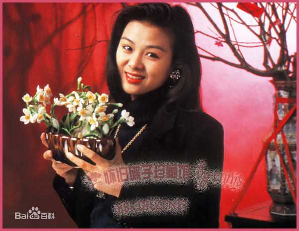 最新姚正菁性感图片