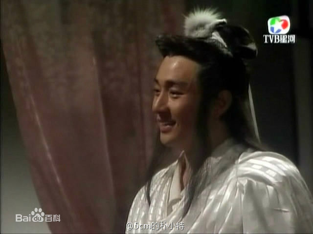 吴岱融(Hugo Ng)玉面飞狐精选剧照