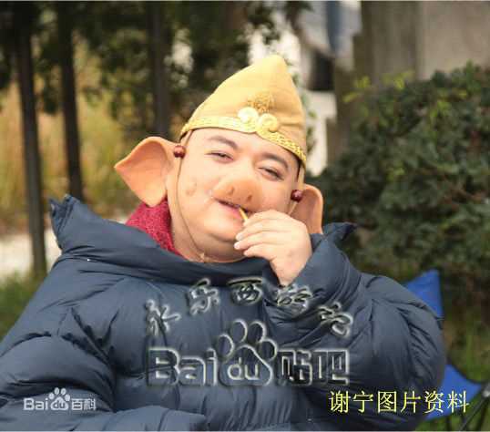 高清谢宁在在新版《西游记》的猪八戒中的图集