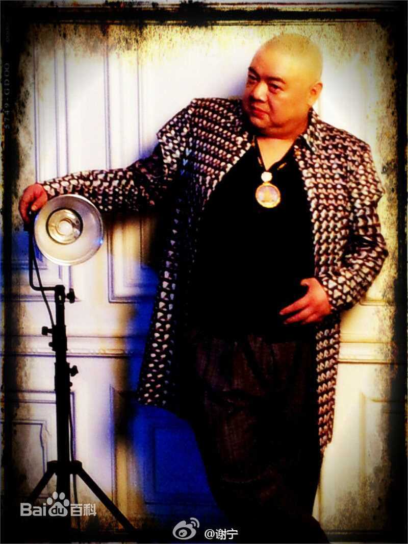 谢宁现代装图片资料壁纸壁纸