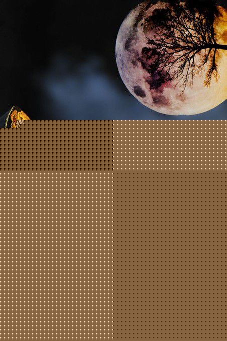 谢宁古装造型图片资料性感图片壁纸