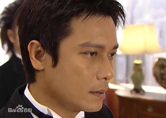 罗嘉良(Gallen Lo)参演作品（2003--2011）图片图集