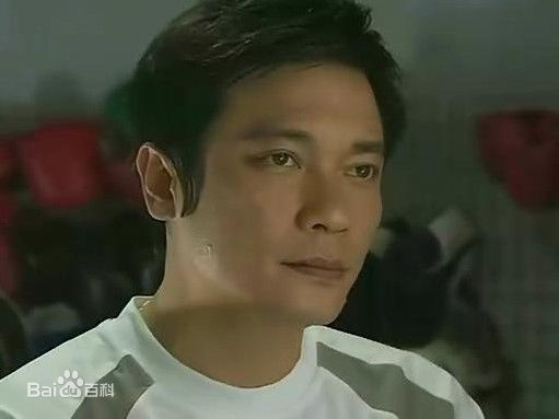 罗嘉良(Gallen Lo)参演作品（2003--2011）图片图集