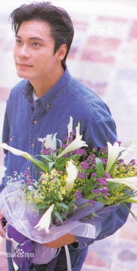 高清罗嘉良(Gallen Lo)精彩图册