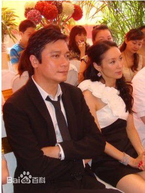 罗嘉良(Gallen Lo)2011年8月6南京康美活动照性感图片壁纸