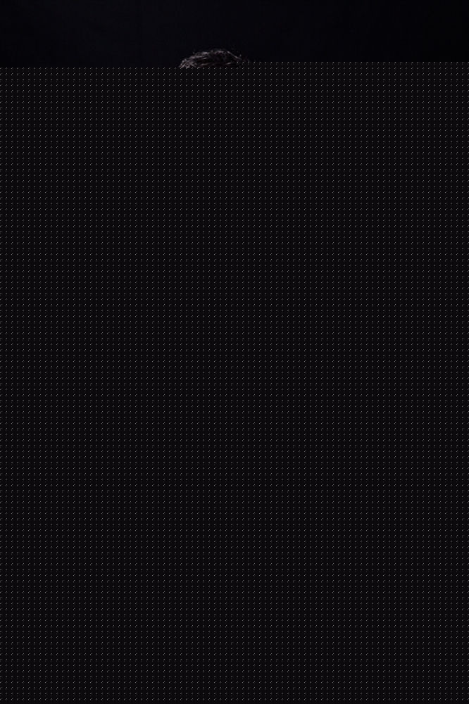 最新罗嘉良(Gallen Lo)精彩图册