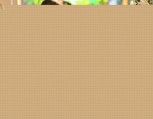 罗嘉良(Gallen Lo)婚礼照生活照相册