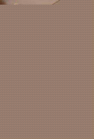 罗嘉良(Gallen Lo)婚礼照生活照相册