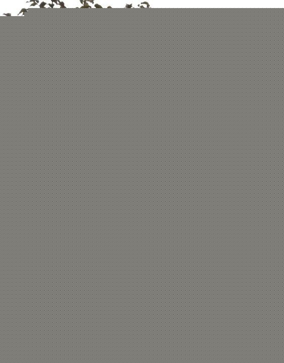 罗嘉良(Gallen Lo)生活照生活照