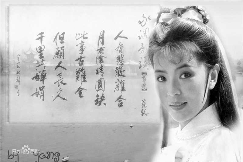 陈玉莲(Idy Chan)版小龙女前后照片