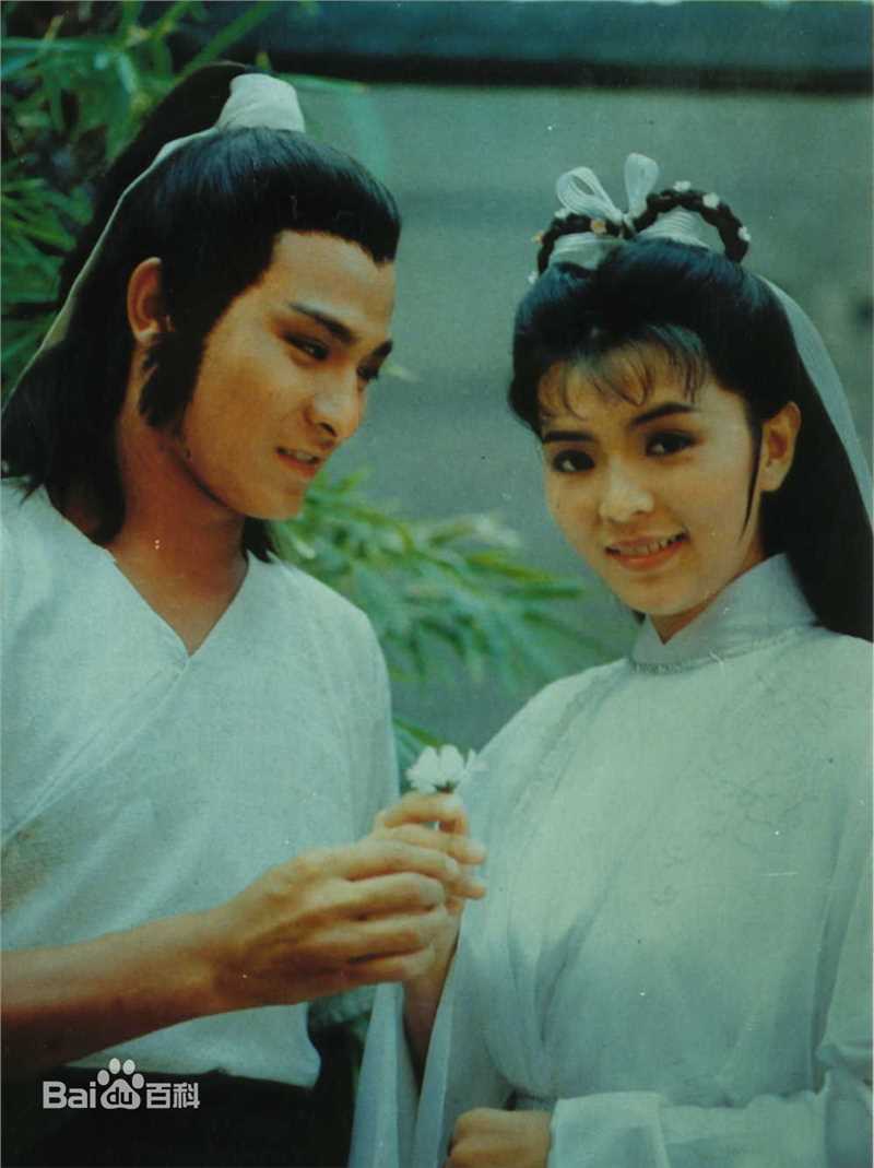 陈玉莲(Idy Chan)版小龙女前后照片