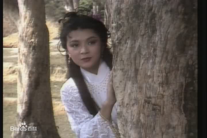 陈玉莲(Idy Chan)版王语嫣生活照相册