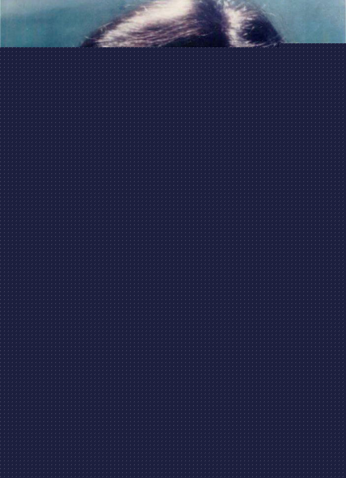 高清陈玉莲(Idy Chan)精彩图册