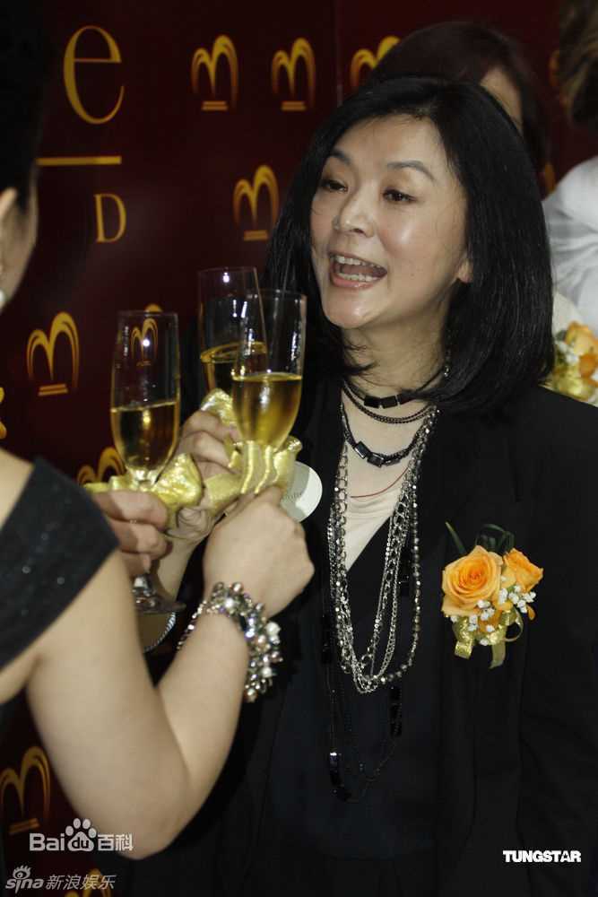 最优质陈玉莲(Idy Chan)精彩图册