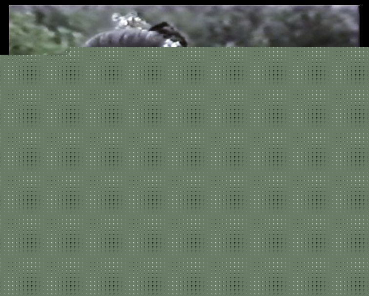 陈敏儿(Barbara Chan man yee)《静待黎明》剧照