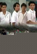 最全陈敏儿(Barbara Chan man yee)壁纸