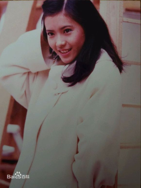 蓝洁瑛(Yammie Lam)-风华绝代壁纸壁纸