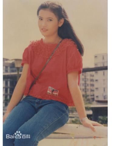 最新蓝洁瑛(Yammie Lam)精彩图册