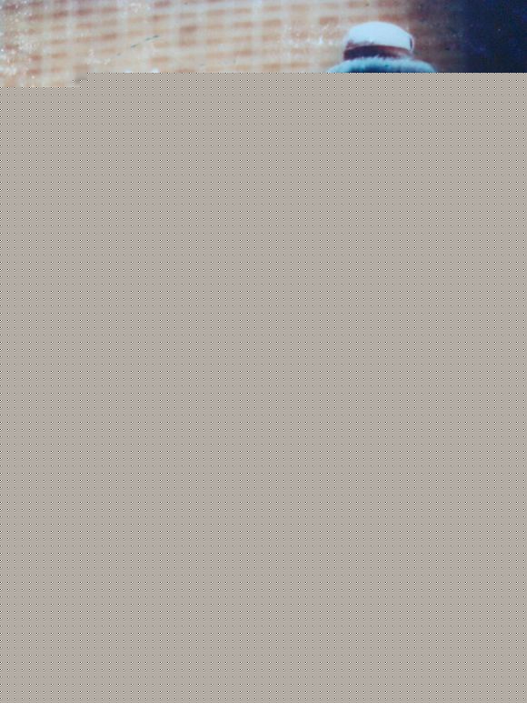 蓝洁瑛(Yammie Lam)精彩图册