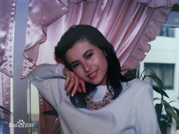 蓝洁瑛(Yammie Lam)精彩图册