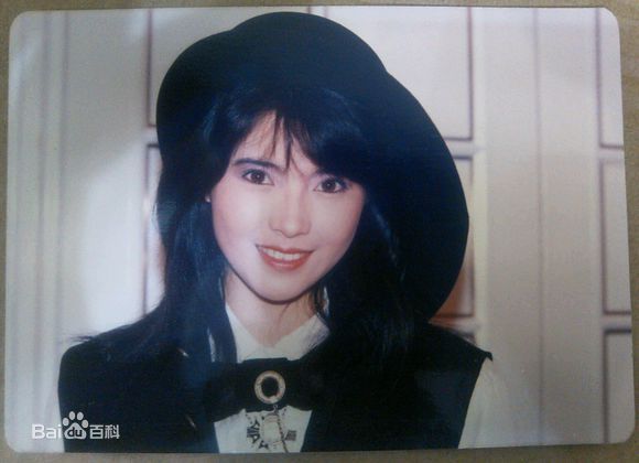 蓝洁瑛(Yammie Lam)精彩图册