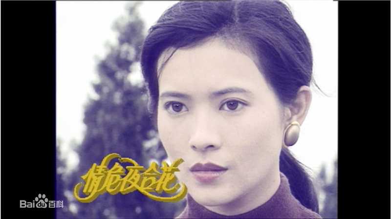 蓝洁瑛(Yammie Lam)前后照片