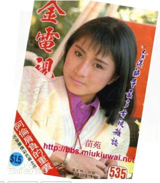 周秀兰(Elanie Chow)时装照壁纸壁纸