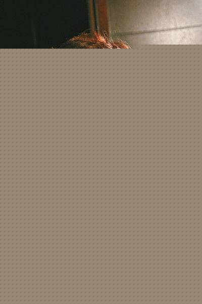 李司棋(Louise Lee)精彩图册