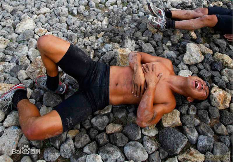 最新李司棋(Louise Lee)壁纸