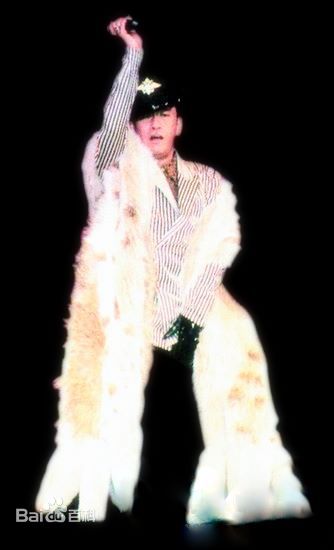 罗文(Roman，Tam) 演唱会图册