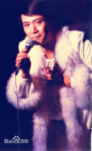 罗文(Roman，Tam) 演唱会图册