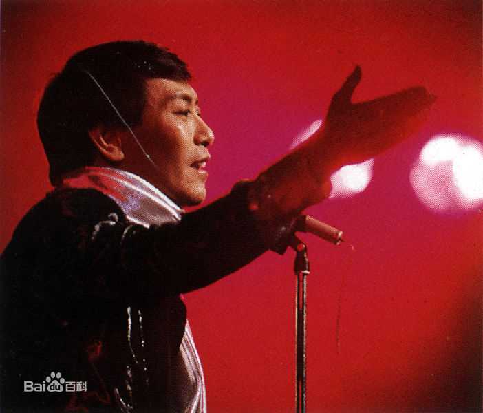 罗文(Roman，Tam) 演唱会图册