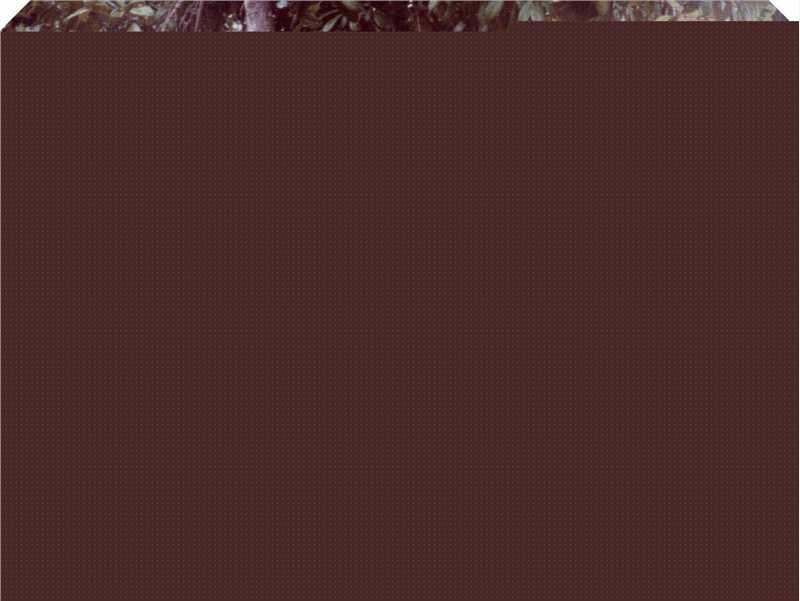 罗文(Roman，Tam)户外活动素颜照相册