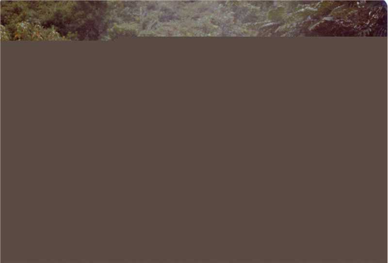 罗文(Roman，Tam)户外活动素颜照相册