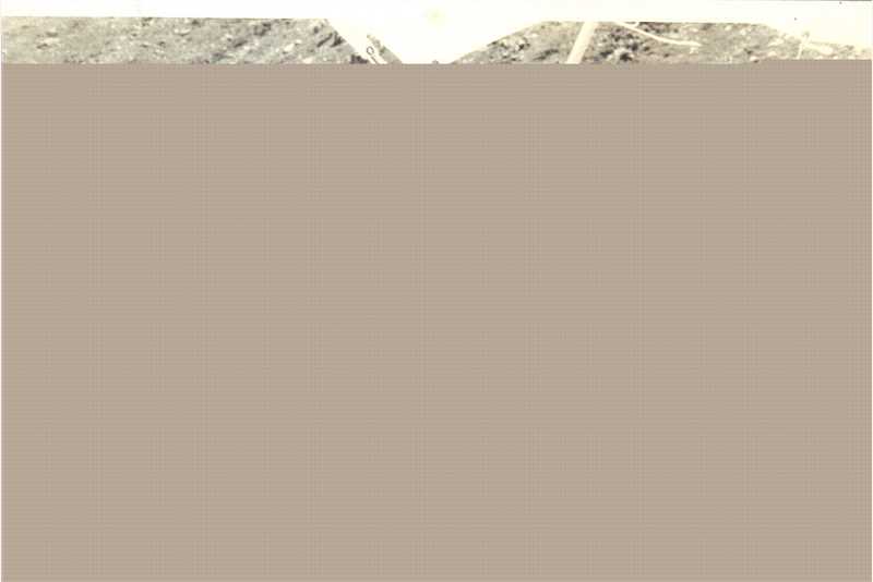 罗文(Roman，Tam)户外活动素颜照相册