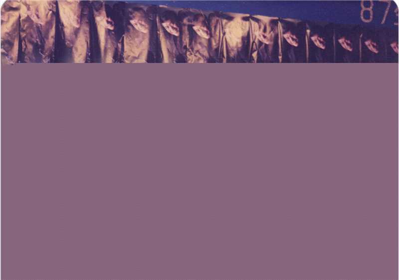 罗文(Roman，Tam)心扣心生日会壁纸壁纸