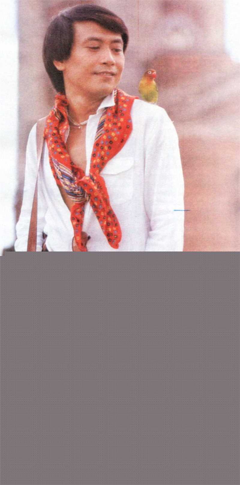 罗文(Roman，Tam)千变ROMAN壁纸壁纸