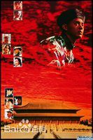 最全罗文(Roman，Tam)壁纸