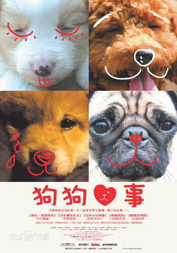 最新小西真娜美(こにし まなみ、Manami Konishi、Manami)壁纸