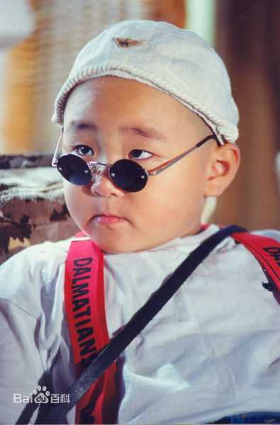 郝劭文4岁出镜壁纸壁纸