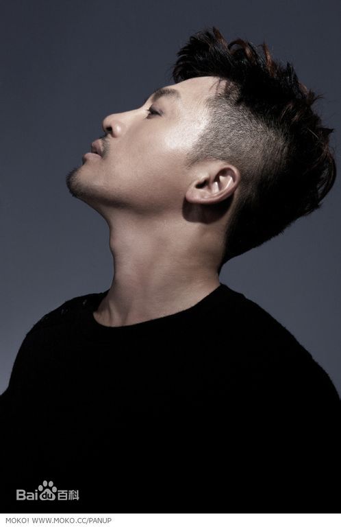 苏有朋(Alec Su)侧面照素颜照相册