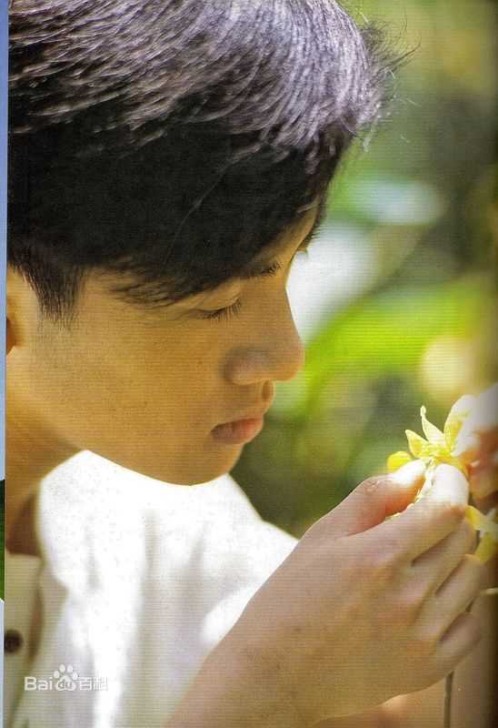 苏有朋(Alec Su)侧面照素颜照相册