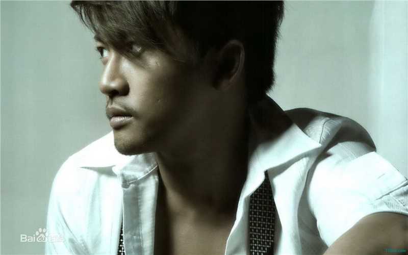 苏有朋(Alec Su)侧面照素颜照相册